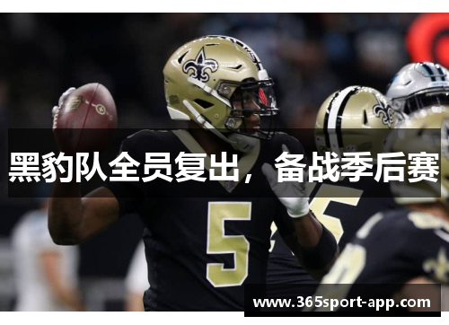 黑豹队全员复出，备战季后赛